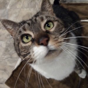 Meet your Posher, Caitlin